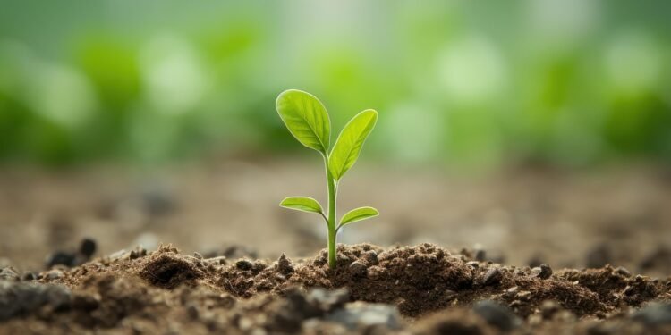 Mastering the Art of Cannabis Pruning: Essential Tips for Healthy and Bountiful Plants