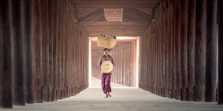 The High Life: Exploring the Thriving THC Subculture