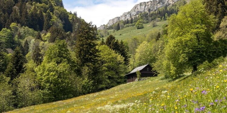 Navigating the Green Wave: Understanding and Adapting to Hemp Regulation Changes