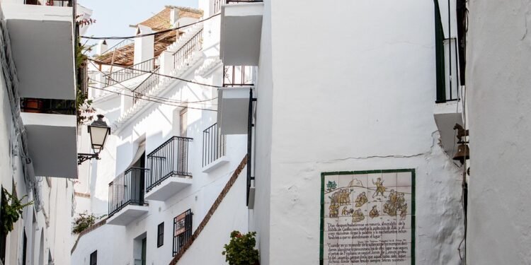 Green Dreams: Exploring the Vibrant World of Weed Culture