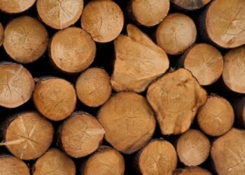 The Healing Powers of Cannabis: Unlocking the Benefits of Different Strains