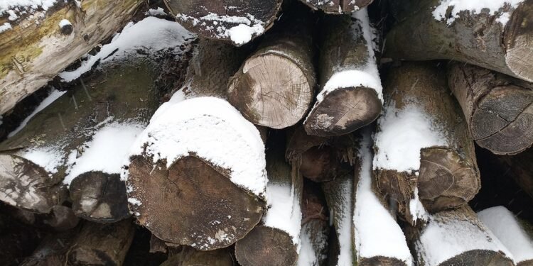 The Healing Power of High-CBD Cannabis: Unlocking the Benefits of CBD-Rich Strains