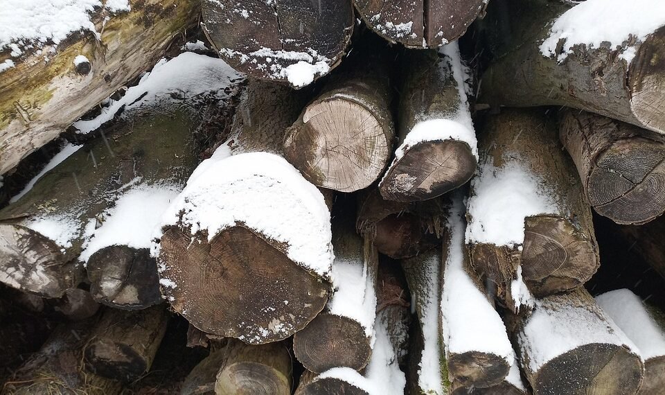 The Healing Power of High-CBD Cannabis: Unlocking the Benefits of CBD-Rich Strains