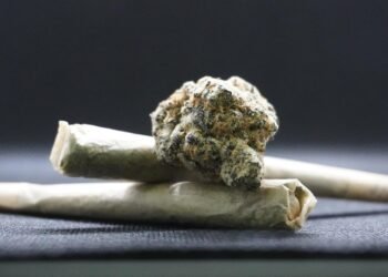 Unlocking the Healing Power: Medical Marijuana as a Breakthrough Treatment for Epilepsy