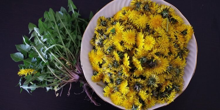 High Cuisine: Elevate Your Cooking with Cannabis Infused Recipes