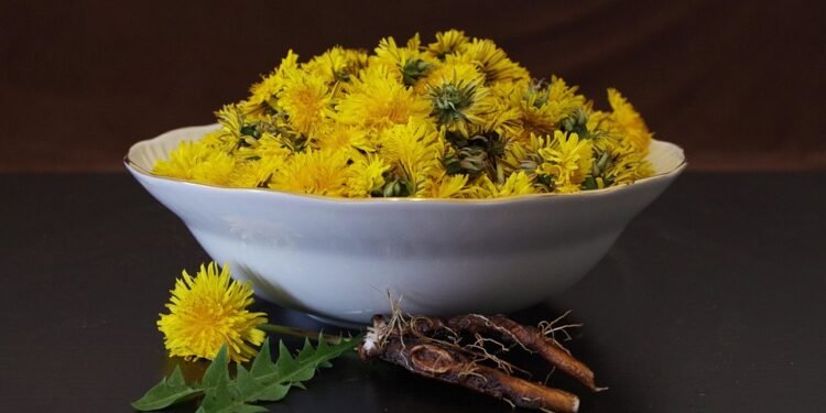 High Times in the Kitchen: Elevate Your Cooking with these Delicious Marijuana Recipes