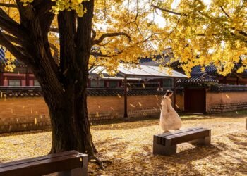 Blazing the Trail: Redefining Marijuana Social Norms