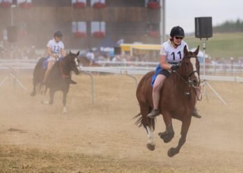 The Green Rush: Navigating the Complex World of Marijuana Import Laws