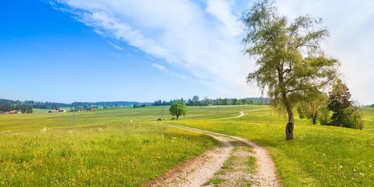 Green Zones: Navigating the Complex Landscape of Marijuana Zoning Laws