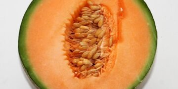 Unlocking the Power of CBD: Transform Your Skin with CBD Skincare