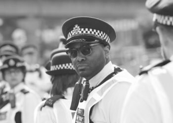 The Green Revolution: Navigating the Changing Landscape of THC Legislation