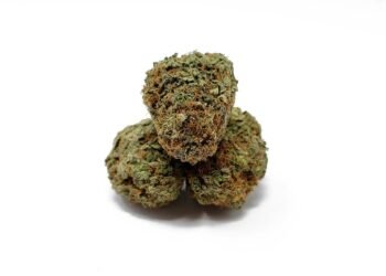 Unveiling the Elite: The Best Award-Winning Cannabis Strains of All Time