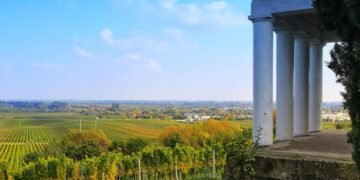 Mastering the Art of Cannabis Pruning: Expert Tips for Bigger Yields and Healthier Plants