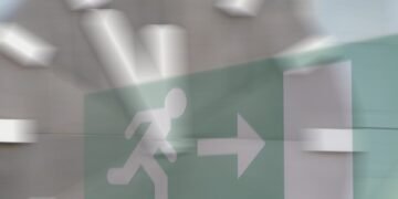 Mastering the Art of Cannabis Strain Cultivation: A Grower’s Guide to Producing Top-Quality Buds