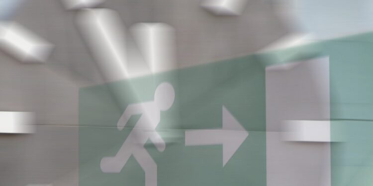 Mastering the Art of Cannabis Strain Cultivation: A Grower’s Guide to Producing Top-Quality Buds