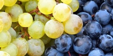 Mastering the Perfect Cannabis Watering Routine: A Guide to Healthy Growth and Maximum Yields