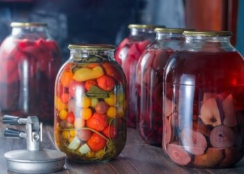 The High Life: Exploring the Delicious World of Cannabis Edibles