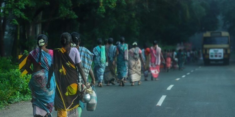 From Ancient Rituals to Modern Revolution: The Fascinating Evolution of Cannabis Throughout History