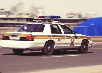 Untangling the Hemp Web: Navigating Complex Regulations for Success