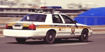 Untangling the Hemp Web: Navigating Complex Regulations for Success