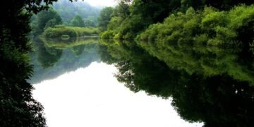 Cannabis Liberation: The Case for Legalizing Marijuana