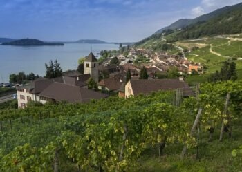 Revolutionizing Your Cannabis Grow: The Latest Tools and Equipment for Success