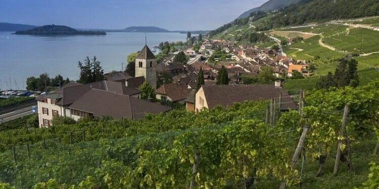 Revolutionizing Your Cannabis Grow: The Latest Tools and Equipment for Success