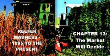 Reefer Madness – 1895 to the Present – Chapter 13: 1994 to 2000 – The Market Will Decide