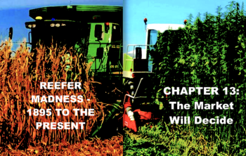 Reefer Madness – 1895 to the Present – Chapter 13: 1994 to 2000 – The Market Will Decide