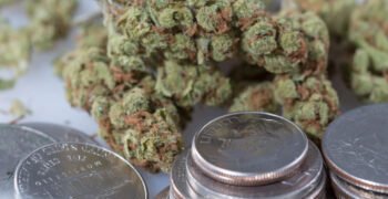 High Marijuana Taxes Don’t Effectively Deter Use, Study Shows