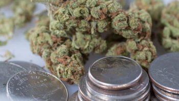 High Marijuana Taxes Don’t Effectively Deter Use, Study Shows
