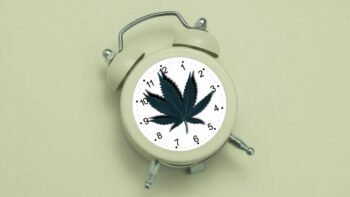 Wake and Bake? Ontario May Soon Let Weed Stores Open at 7am
