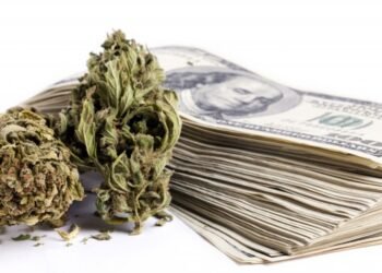 $60 Million Cannabis Lending Fund Signals Major Shift in Industry Finance