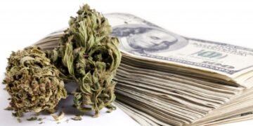 $60 Million Cannabis Lending Fund Signals Major Shift in Industry Finance