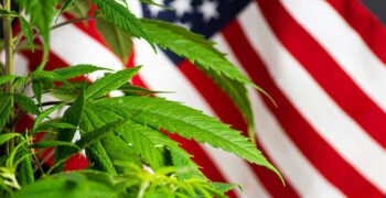Prohibitionist Groups File Lawsuit Challenging Attorney General’s Rescheduling Order