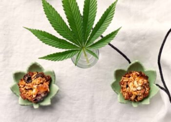 CBD & THC Energy Bites Recipe: Easy Cannabis Edibles for Focus & Fuel