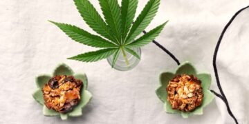 CBD & THC Energy Bites Recipe: Easy Cannabis Edibles for Focus & Fuel