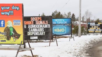 Membertou First Nation Proposes Own Cannabis Law While Seeking Federal Recognition