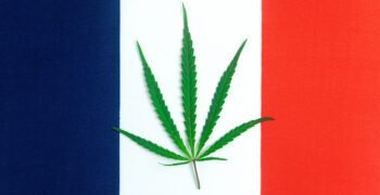 France: A Last Bastion of Cannabis Prohibition