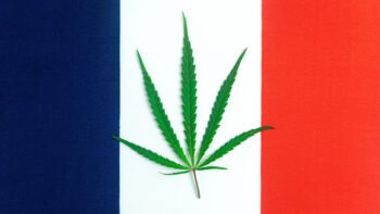 France: A Last Bastion of Cannabis Prohibition