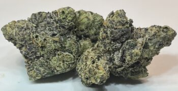 The Local Noze: Gas Face by Sixty Seven Sins