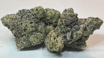 The Local Noze: Gas Face by Sixty Seven Sins