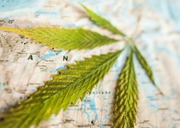 International Cannabis Supply Chain Leaders for 2026