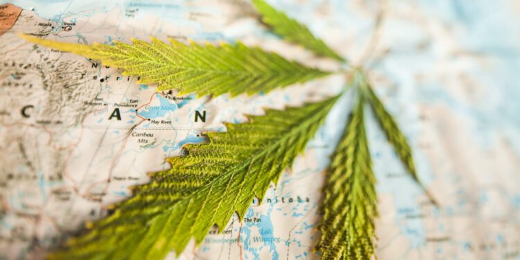 International Cannabis Supply Chain Leaders for 2026