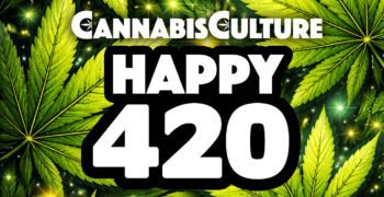 Happy 4/20 2026 From Cannabis Culture