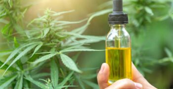 Trump Calls on Congress To Loosen Federal Restrictions on Hemp-Derived CBD, Other Cannabinoids