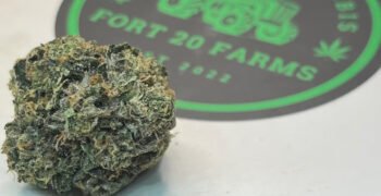 The Local Noze: Bubba Kush by Fort 20 Farms