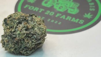 The Local Noze: Bubba Kush by Fort 20 Farms