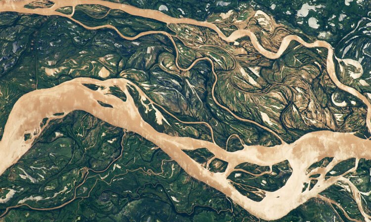 5 Ways Cannabis Can Save the Planet This Earth Day