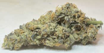 The Local Noze: Peanut Butter Breath by Wheelchair Weed & BC Weed Co